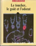 Le toucher, le goût et l'odorat