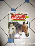 Copains des chevaux: à la découverte des fils du vent