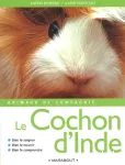 Le cochon d'Inde